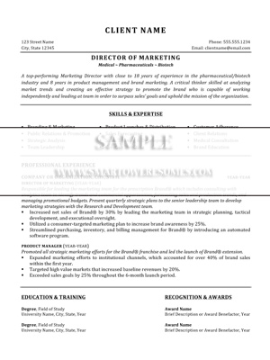 Traditional Resume Format