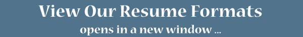View Resume Formats